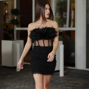 Briolette Black Feather Corset Dress