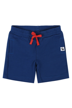 Mixed Up Clothing Boys Sweatshorts - Sodalite Blue