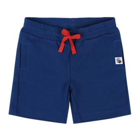 Mixed Up Clothing Boys Sweatshorts - Sodalite Blue